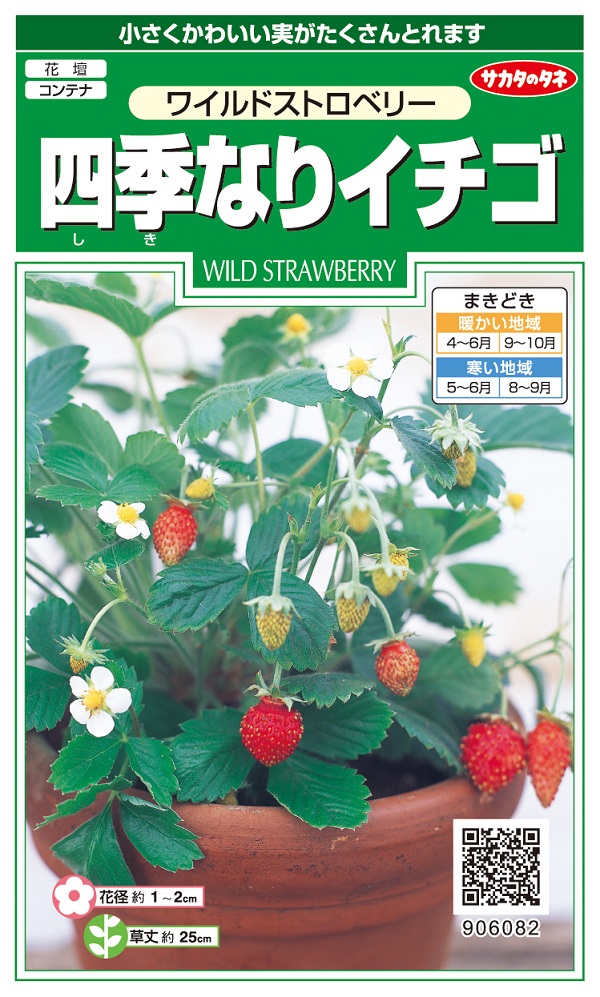 ワイルドストロベリー四季なりイチゴ