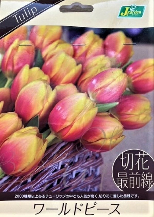 切花最前線ワールドピース