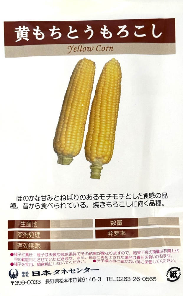 黄もちとうもろこし