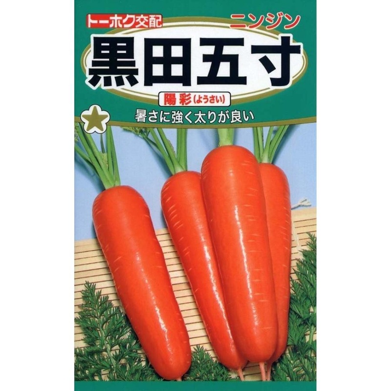 にんじん　黒田五寸　陽彩