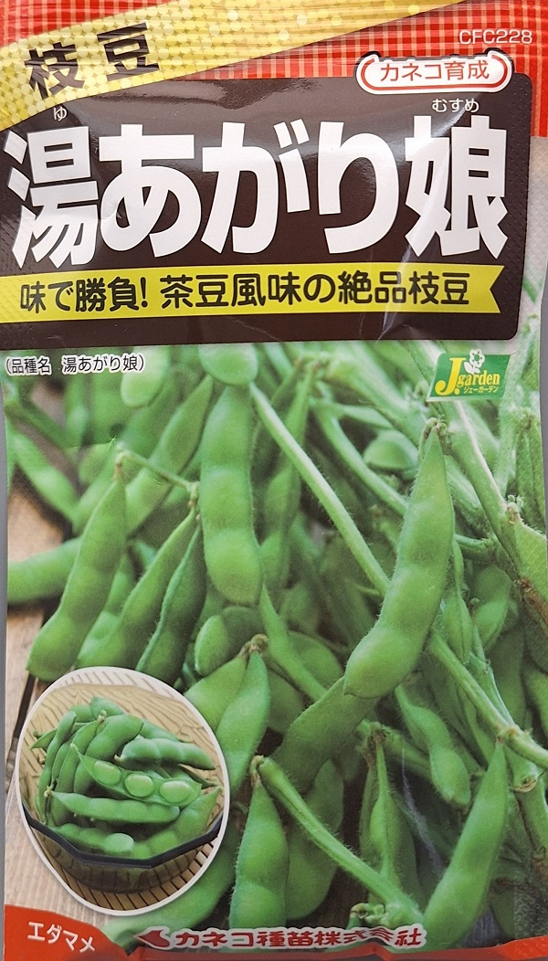 枝豆　湯あがり娘