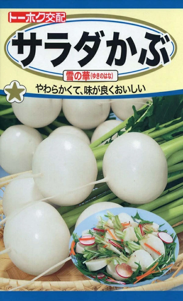 サラダかぶ雪の華