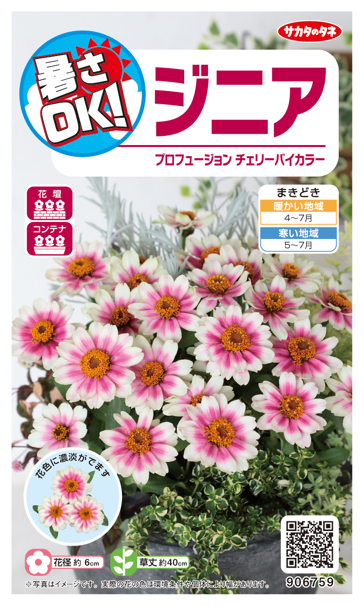 ジニアプロフュージョンチェリーバイカラー