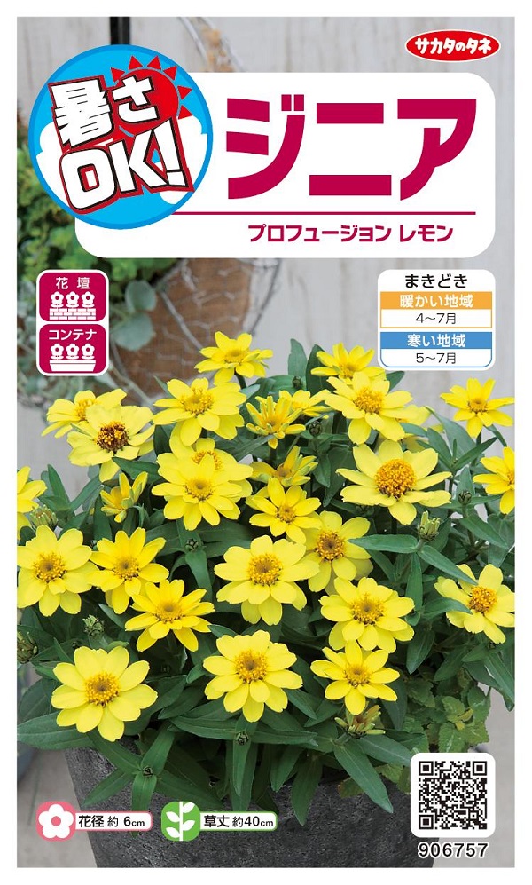 花種子 ジニア プロフュージョン レモン サカタのタネ 農林水産省品種