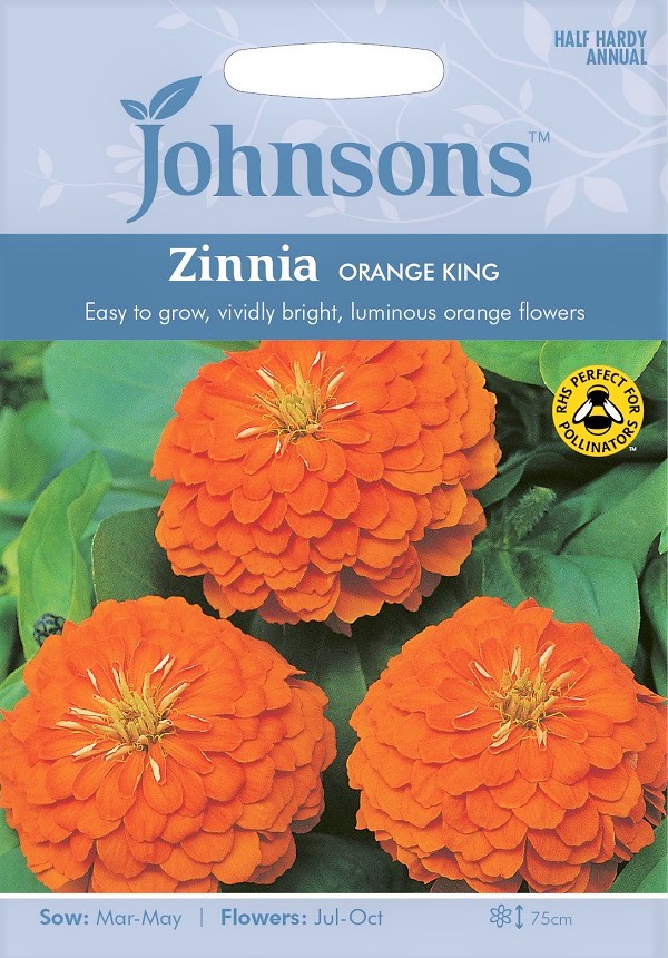 ジニア　オレンジ・キング