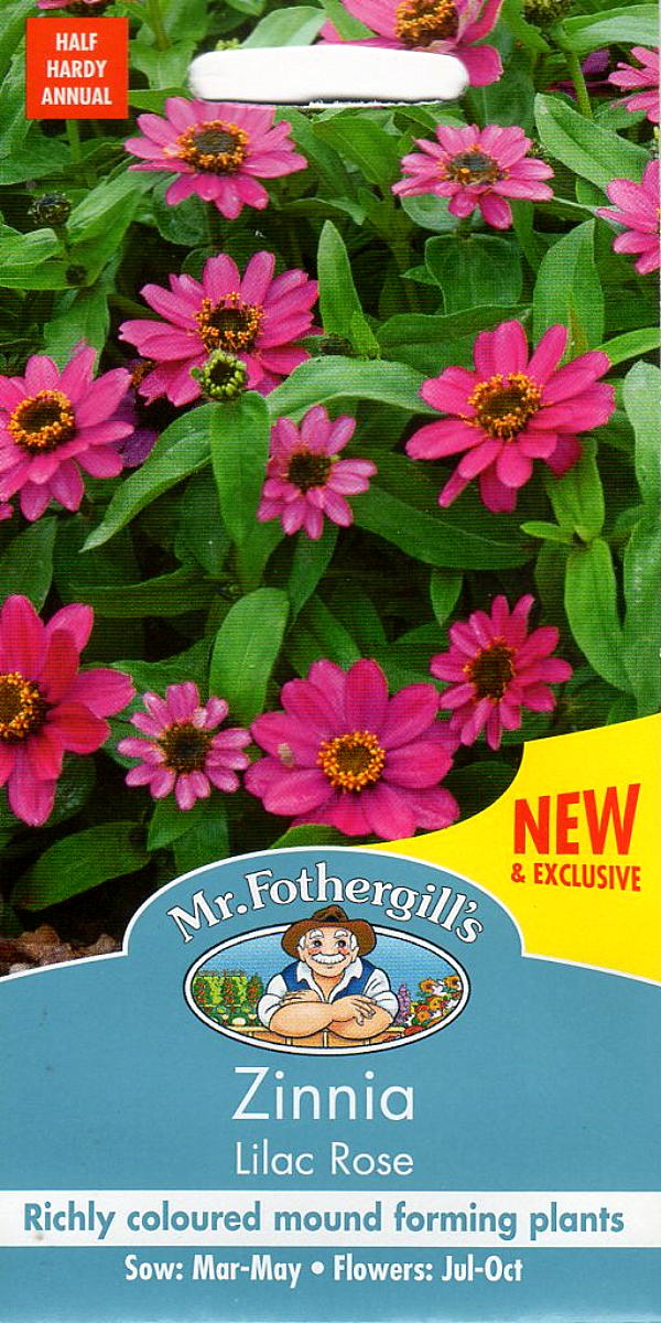 ジニア（百日草）・ライラック・ローズ