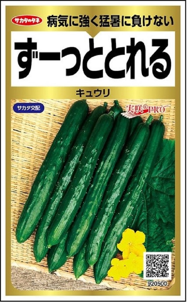 ずーっととれるキュウリ