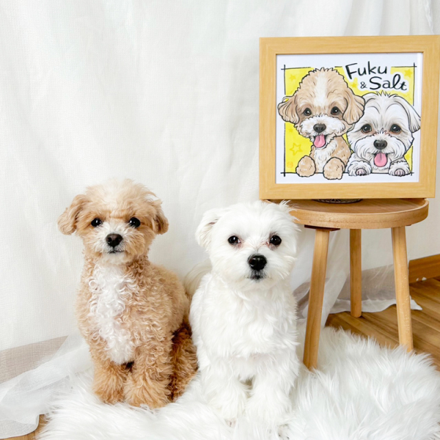 絵画 M&M 絵画 M&M 絵画 Take a Moment ／ Mini Edition