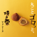 【数量限定】焼き栗マドレーヌの詰合せ〈10個入〉