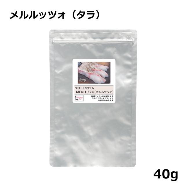 NinnaNannaDelica/プロテインザイム/メルルッツォ（タラ）/40g｜猫用