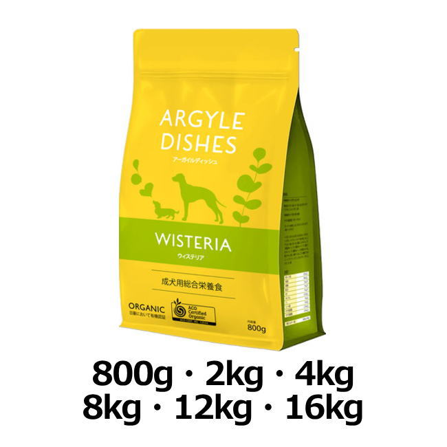 アーガイルディッシュ/ウィステリアアダルト代表画像