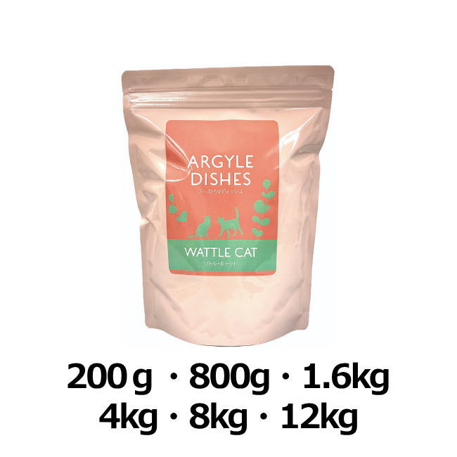 アーガイルディッシュ/ワトルキャット代表画像