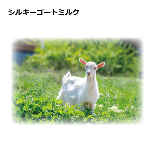 シルキーゴートミルク　40g　150g