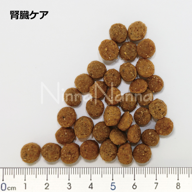 アニモンダ/インテグラ プロテクト/腎臓ケア/ドライフード 　獣医師　猫の腎臓病予防食　猫の慢性腎不全