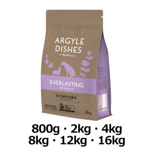 アーガイルディッシュ/エバーラスティングシニア代表画像