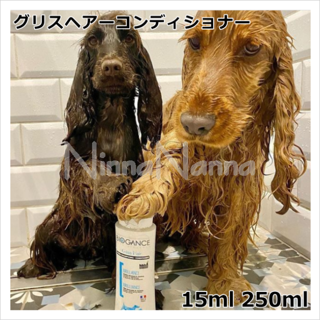 バイオガンス　グリスヘアー コンディショナー