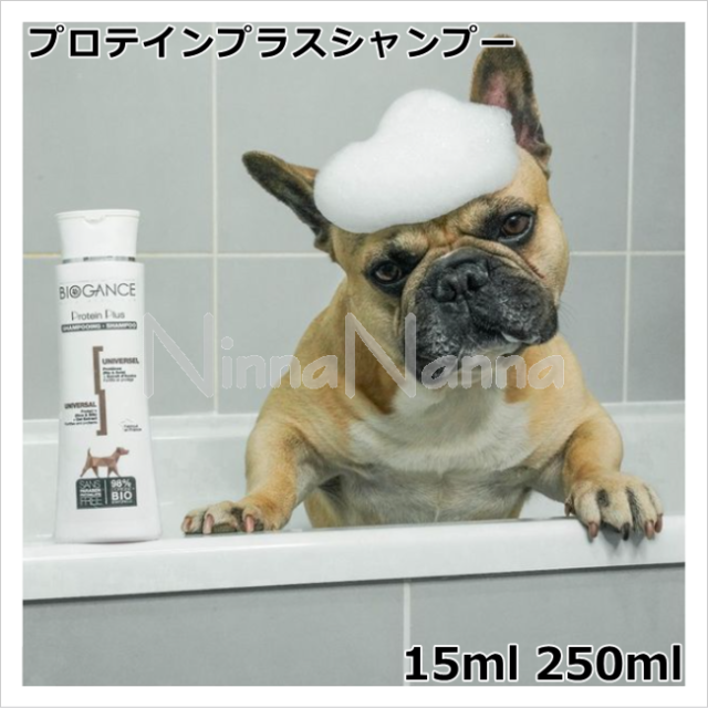 バイオガンス　プロテインプラスシャンプー