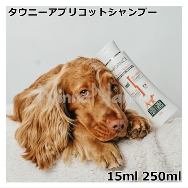バイオガンス　タウニーアプリコットシャンプー