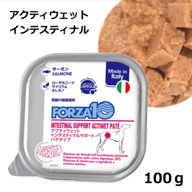 フォルツァ10/【DOG】/アクティブ/ウェット/インテスティナル/100ｇ