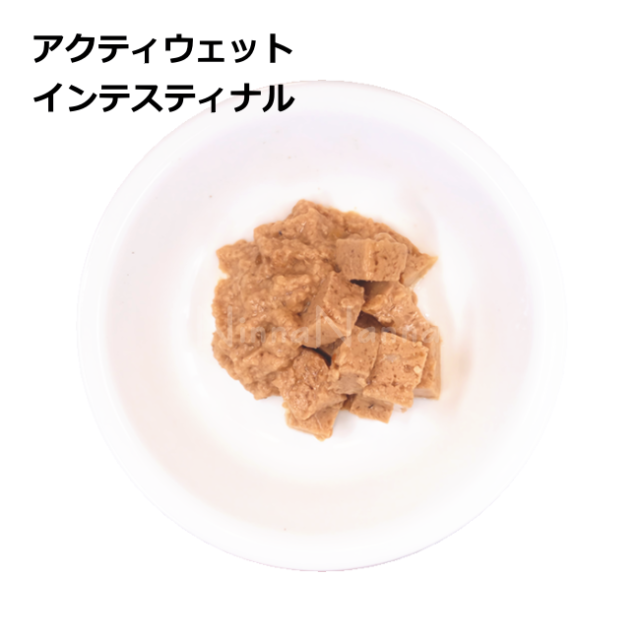 フォルツァ10/【DOG】アクティウェット/インテスティナル サーモン