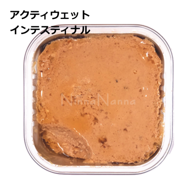 フォルツァ10/【DOG】アクティウェット/インテスティナル サーモン