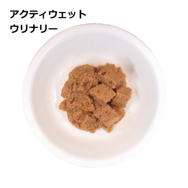 フォルツァ10/【DOG】/アクティブ/ウェット/ウリナリー/100ｇ