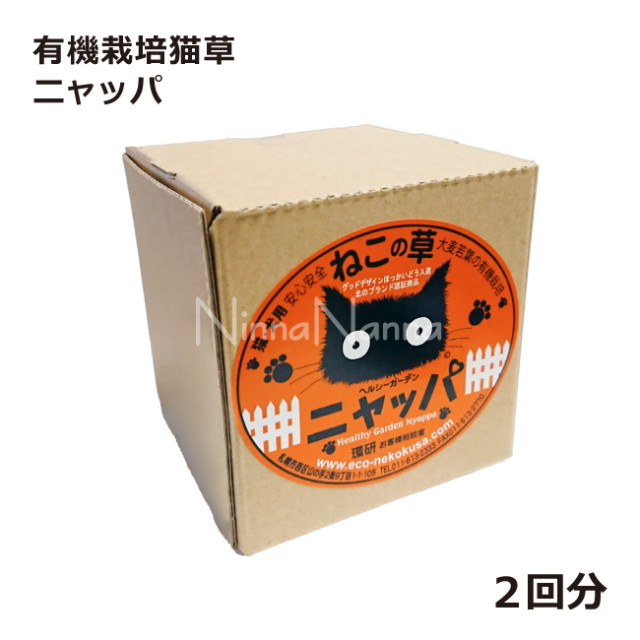 有機栽培猫草　ニャッパ　ネコ草　ネコ草栽培キット　大麦の猫草