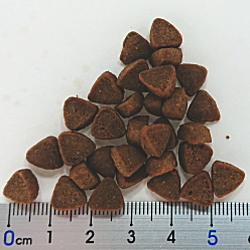 リリーズキッチン　成猫チキンキャセロール1kg目盛り