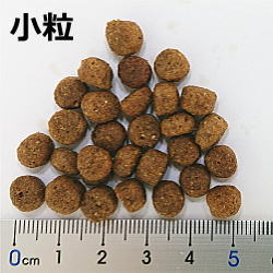 ルーシーペットプロダクツ/【DOG】/サーモン、パンプキン＆キヌア ドッグフード(穀物不使用／低アレルギー)/小粒/2kg