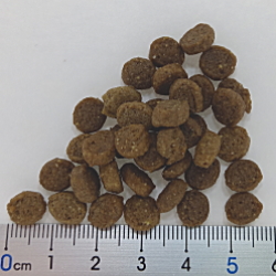 フォルツァ10/ミスターフルーツ/キトン/粒画像