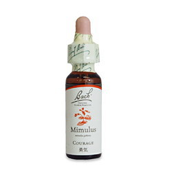 バッチフラワーレメディ/ミムラス(MIMULUS)/10ml＊ニンナナンナ