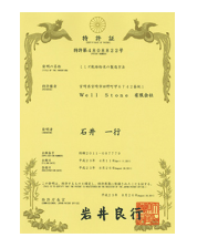 ルンブルQ　　特許