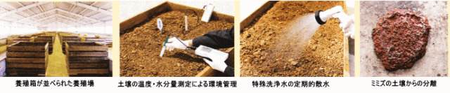 ルンブルQ　詳しく　製造工程1