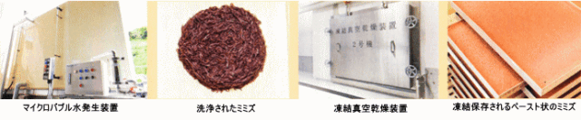 ルンブルQ　詳しく　製造工程2