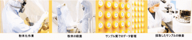 ルンブルQ　詳しく　製造工程3