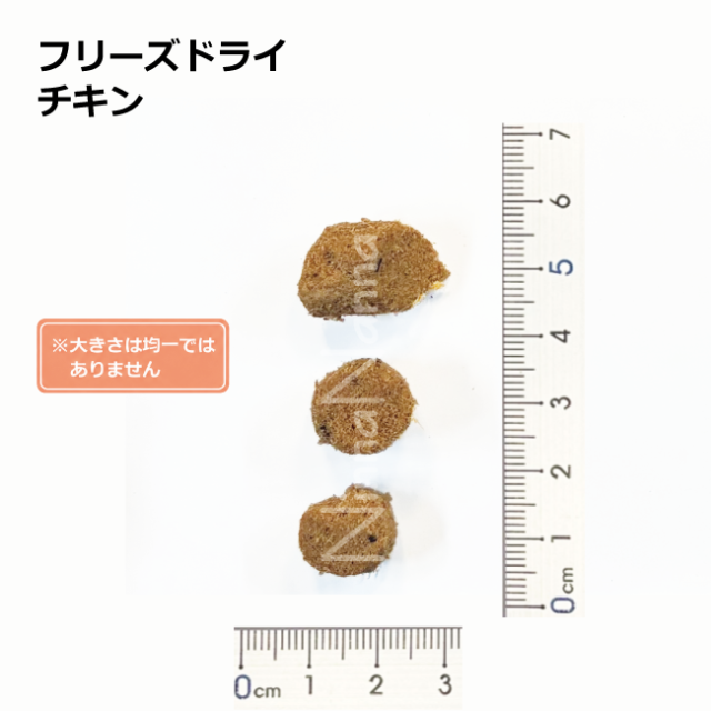 ソウルメイト　猫　フリーズドライ　チキン　20ｇ_400g_4
