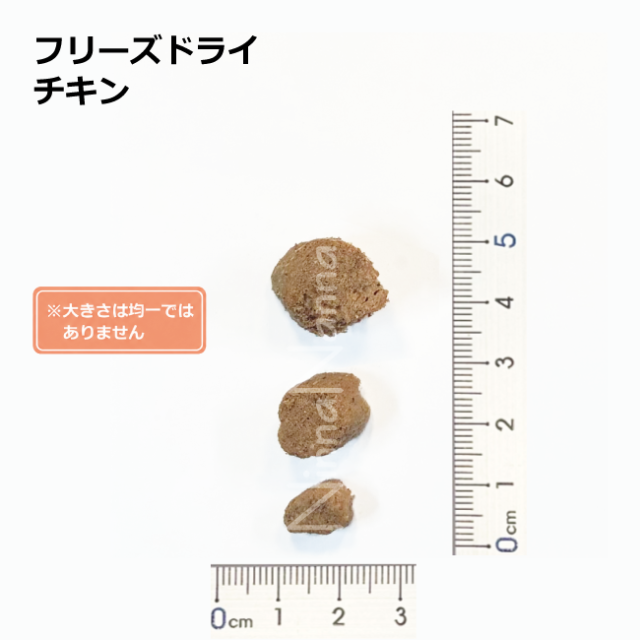 ソウルメイト　犬　フリーズドライ　チキン　20g_400g_4