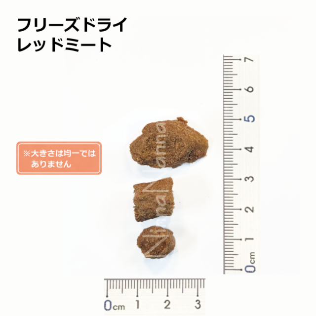 ソウルメイト　猫　フリーズドライ　レッドミート　20ｇ_400g_4