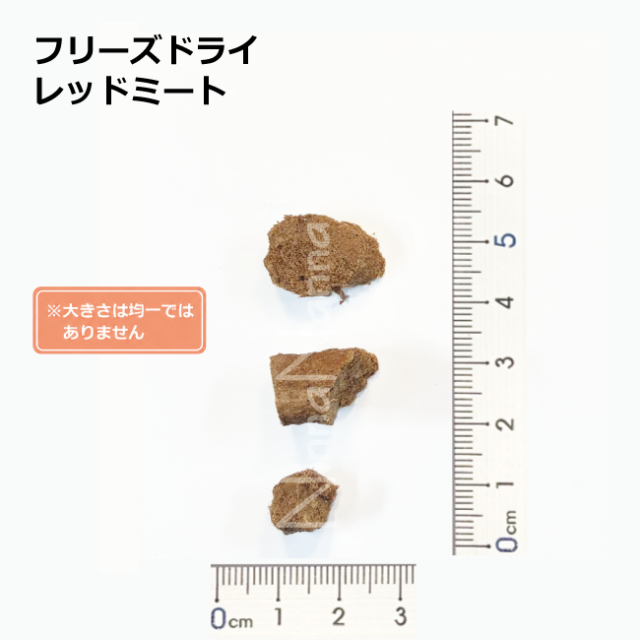ソウルメイト　犬　フリーズドライ　レッドミート　20g_400g_4