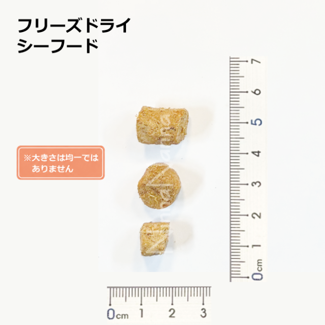 ソウルメイト　猫　フリーズドライ　シーフード　20ｇ_400g_4