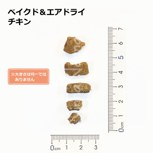 ソウルメイト　猫　ベイクドエアドライ　チキン　40ｇ_4