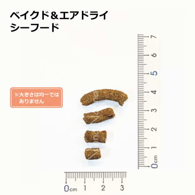 ソウルメイト　猫　ベイクドエアドライ　シーフード　40ｇ_4