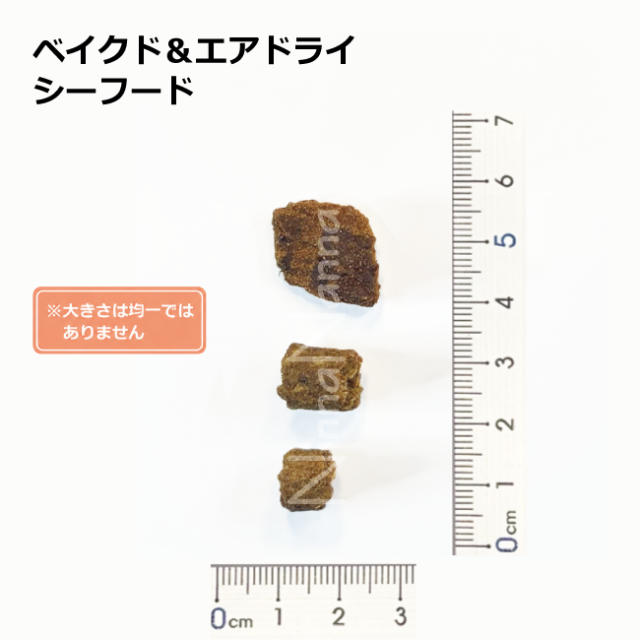 ソウルメイト　犬　ベイクドエアドライ　シーフード　1.8kg_40g_4