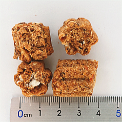 テラカニス/【DOG】/ガーデンドロップス/フルーツクッキー/50g