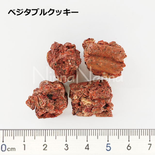 テラカニス/【DOG】/ガーデンドロップス/犬のベジタブルクッキー　犬のヴィーガンスナック　犬のトリーツ　