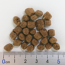 ワイソン/アーキタイパル2/500g