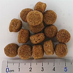 ヤラー/オーガニックドッグフード/センシティブ