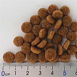 ヤラー/ドッグフード/小型犬専用