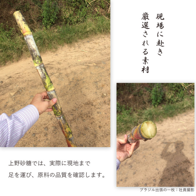 上野砂糖 有機黒糖 300g×2袋(メール便配送)