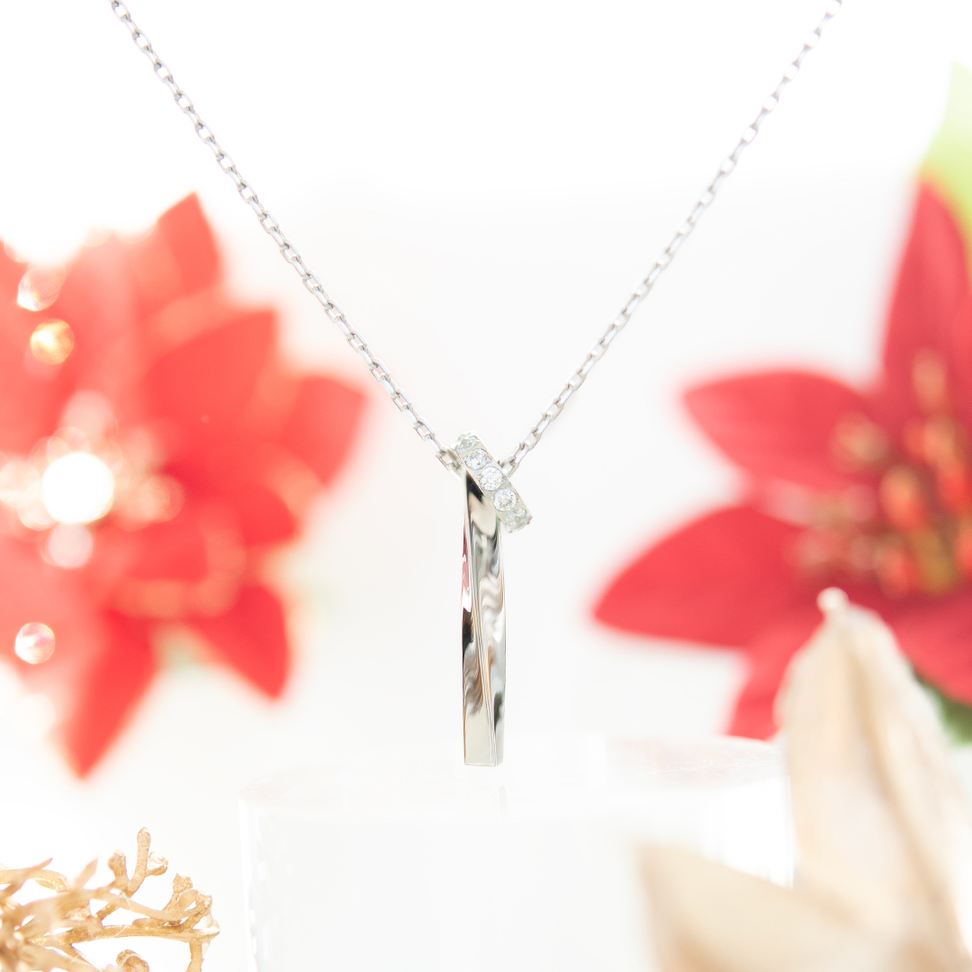 【2025 Christmas gift collection】ペアネックレス(メンズ単品)サージカルステンレス キュービックジルコニア